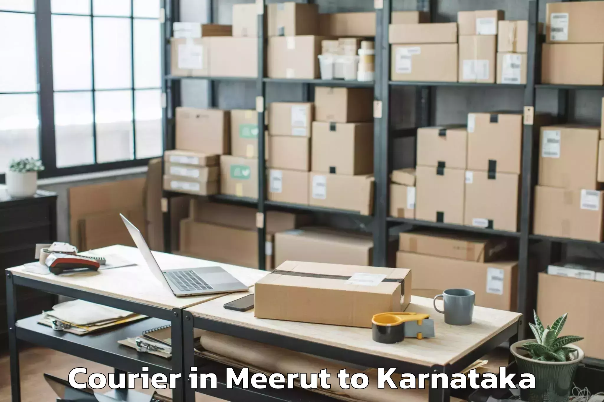 Book Meerut to Harpanahalli Courier Online